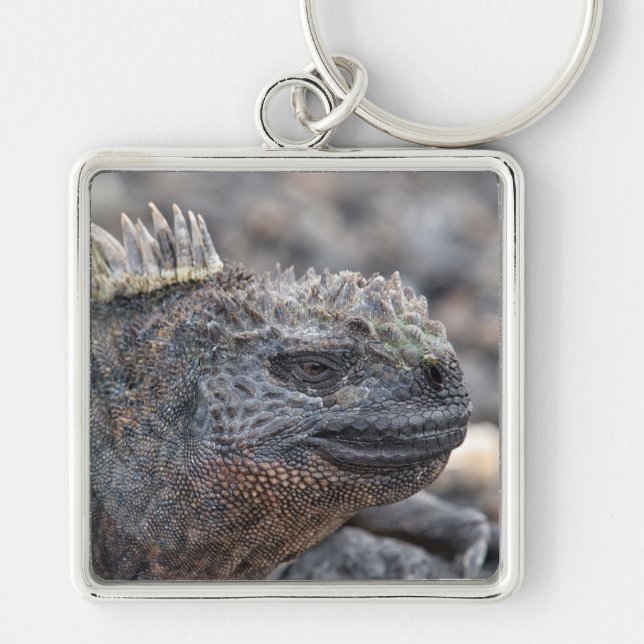 Marine Iguana Fyrkantig Silverfärgad Nyckelring (Framsidan)
