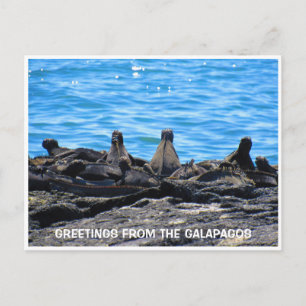Marine iguana hälsning vykort