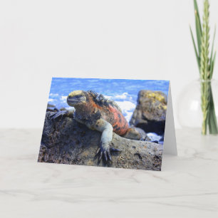 Marine Iguana Helgkort