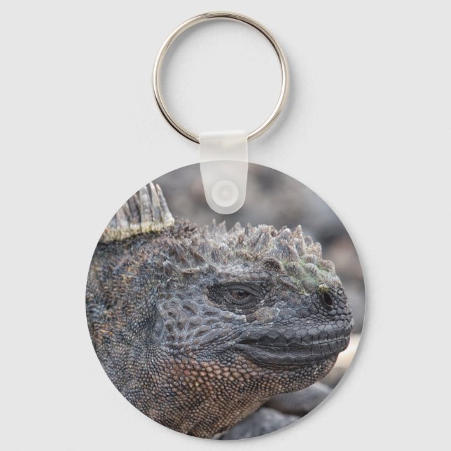 Marine Iguana Nyckelring (Framsida)