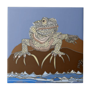 Marine Iguana vid Sten med Hermit Crab Kakelplatta