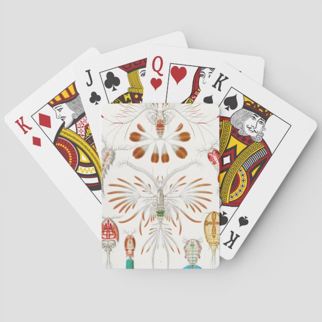 Marine Life Crustaceans, Copepoda av Ernst Haeckel Casinokort (Baksidan)