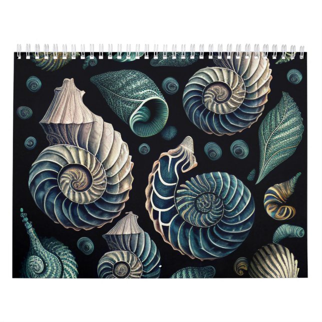 Marine Treasures Kalender (Omslag)