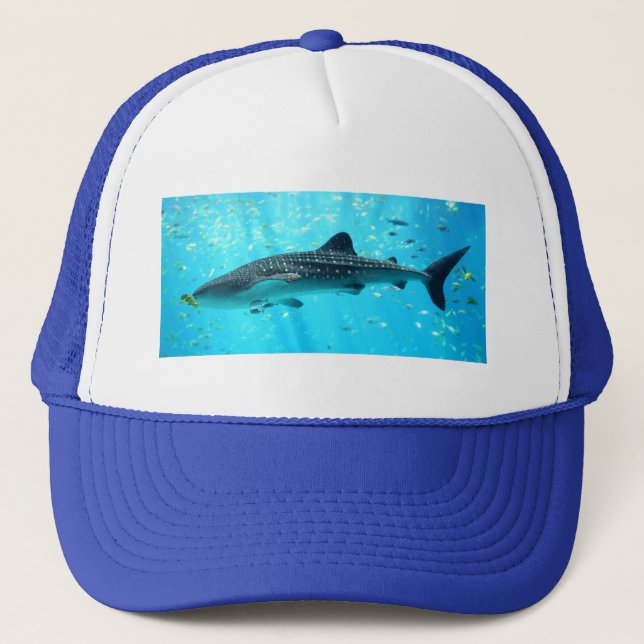 Marine Vatten Chic Snyggt Coola  Blue Whale Shark Truckerkeps (Framsida)