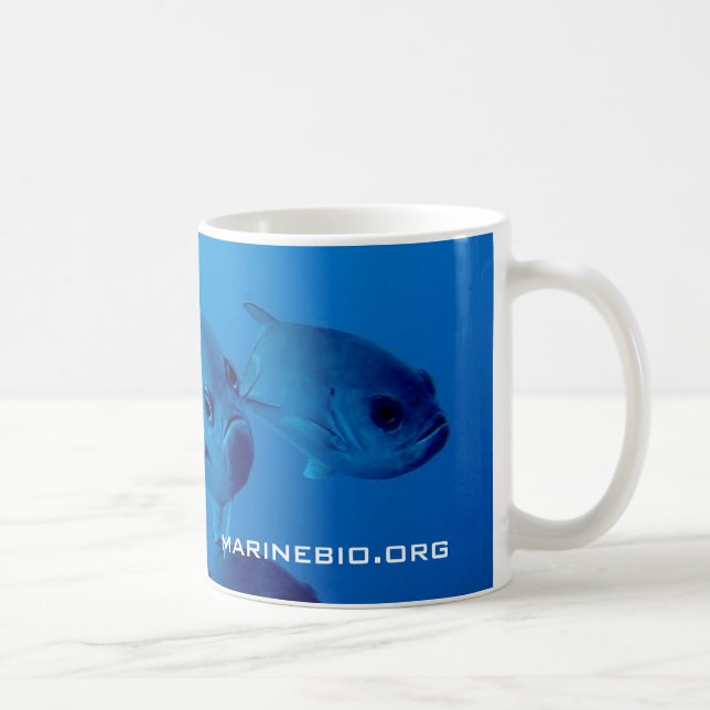 MarineBio kaffemugg (Höger)