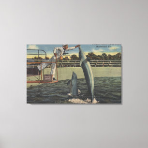 Marineland Florida - beskåda av att mata Porpoise Canvastryck