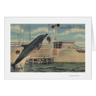 Marineland Florida - beskåda av Pudgy Hälsningskort