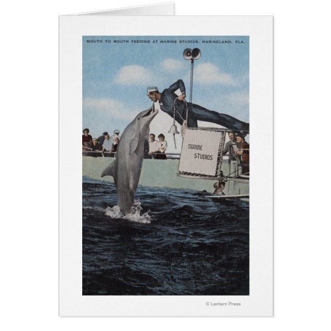 Marineland, Florida - Sailor Mouthfeed Hälsningskort (Framsidan)