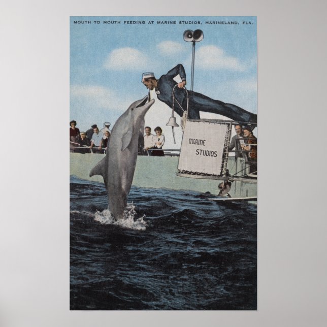 Marineland, Florida - Sailor Mouthfeed Poster (Framsidan)
