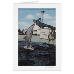 Marineland Florida - sjöman Mouthfeeding Hälsningskort