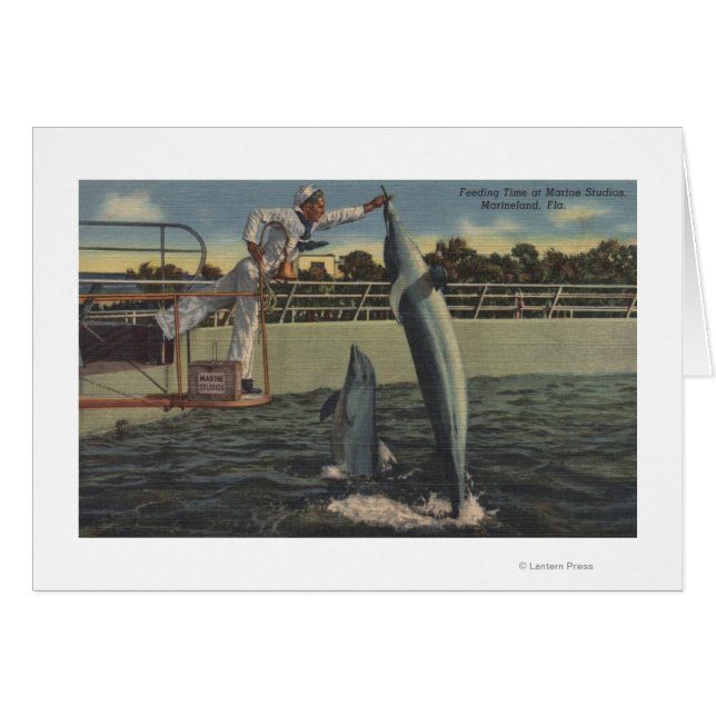 Marineland, Florida - View of Matande Porpoises Hälsningskort (Framsidan Horizontal)