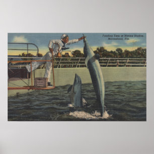 Marineland, Florida - View of Matande Porpoises Poster