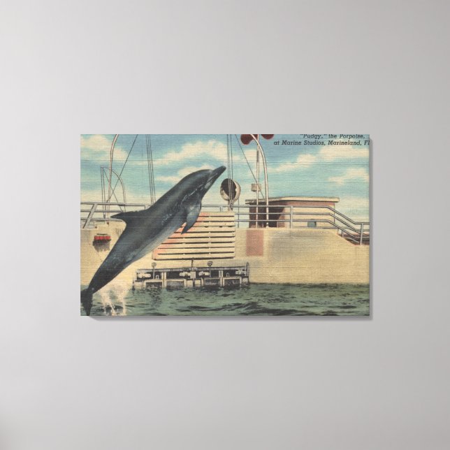 Marineland, Florida - View of Pudgy the Canvastryck (Framsida)