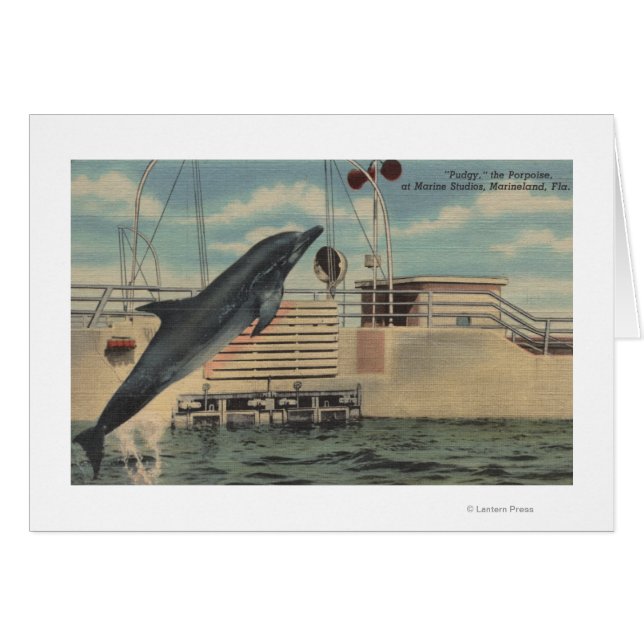 Marineland, Florida - View of Pudgy the Hälsningskort (Framsidan Horizontal)