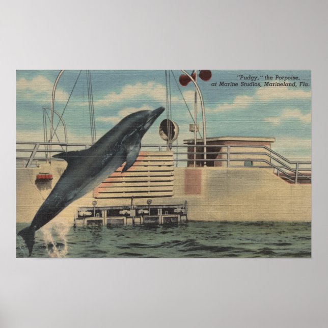Marineland, Florida - View of Pudgy the Poster (Framsidan)