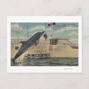 Marineland, Florida - View of Pudgy the Vykort