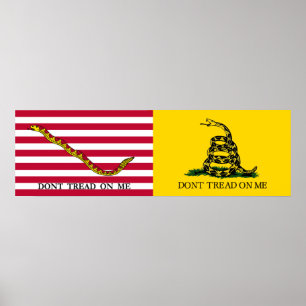 Marinjacken & den Gadsden flaggor - Circa 1775-76 Poster
