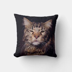 marinkonjon på ett svart bakgrundyngdjur,katt,c kudde