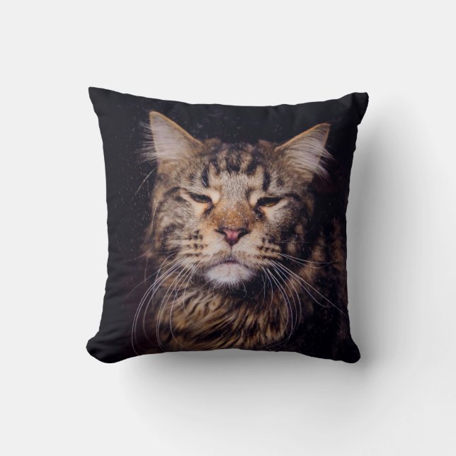 marinkonjon på ett svart bakgrundyngdjur,katt,c kudde (Framsida)
