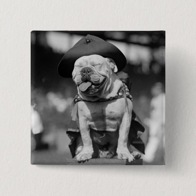 Marinkorpralmaskot, 20-tal knapp (Framsida)