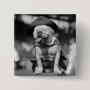 Marinkorpralmaskot, 20-tal knapp