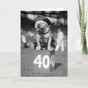 Marinkorpralmaskot, 20-tal kort