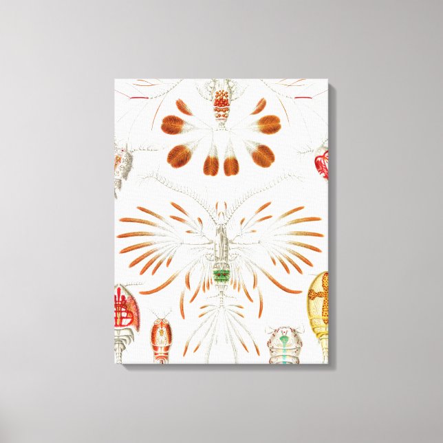 Marint liv kräftdjur, Copepoda av Ernst Haeckel Canvastryck (Framsida)