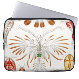 Marint liv kräftdjur, Copepoda av Ernst Haeckel Laptop Fodral