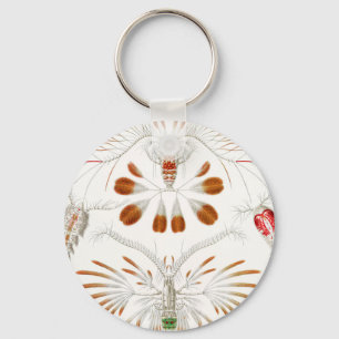Marint liv kräftdjur, Copepoda av Ernst Haeckel Nyckelring