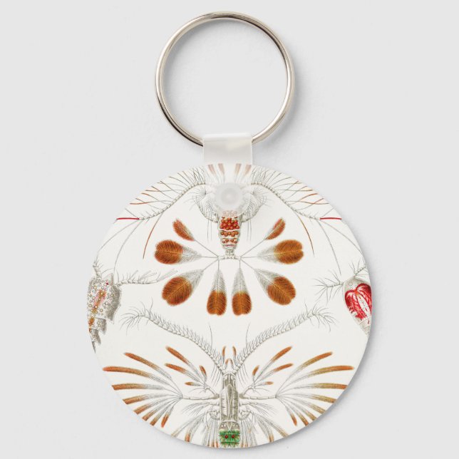 Marint liv kräftdjur, Copepoda av Ernst Haeckel Nyckelring (Framsida)
