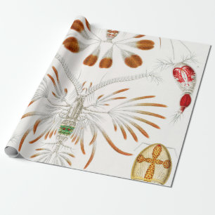 Marint liv kräftdjur, Copepoda av Ernst Haeckel Presentpapper