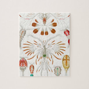 Marint liv kräftdjur, Copepoda av Ernst Haeckel Pussel