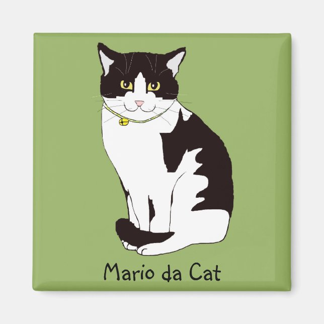 Mario da Cat Magnet (Framsidan)