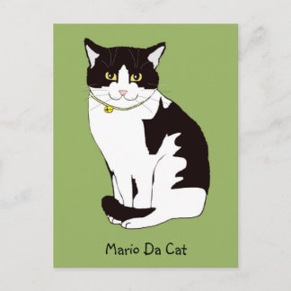 Mario Da Cat vykort