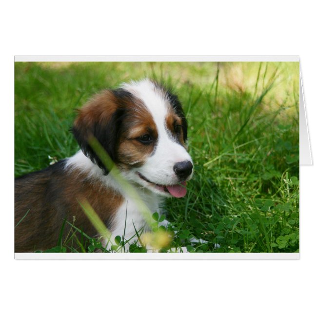 marionett hälsningskort (Framsidan Horizontal)