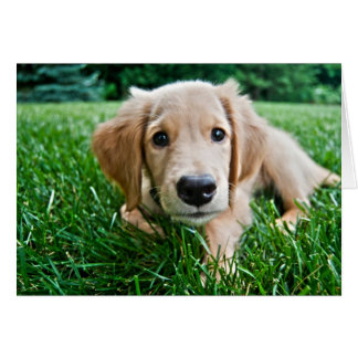 marionett hälsningskort