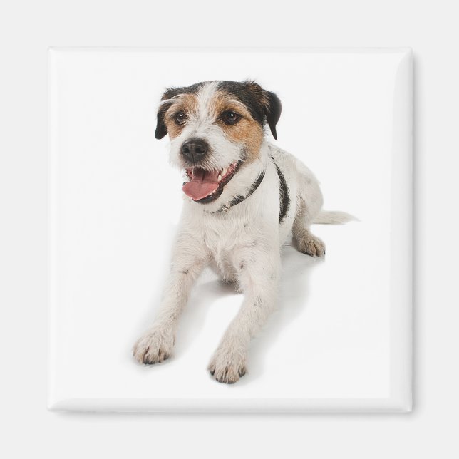 marionett magnet (Framsidan)