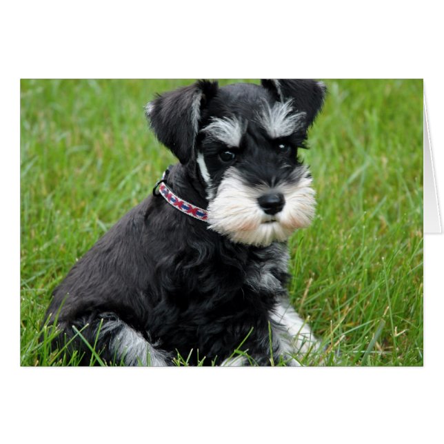 marionettattityder hälsningskort (Framsidan Horizontal)