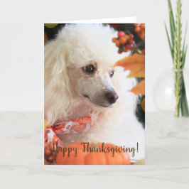 marionettkort för happy thanksgiving Pudel Helgkort