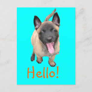 marionettmalinois vykort