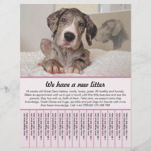 marionettmallar för försäljning reklamblad