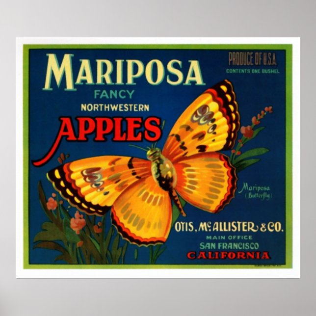 Mariposa-äpplen Poster (Framsidan)