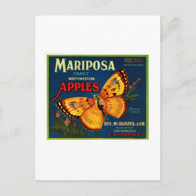 Mariposa-äpplen Vykort (Framsida)