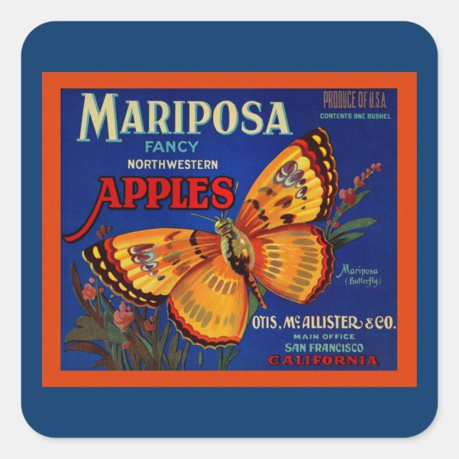 Mariposa Apples Fyrkantigt Klistermärke (Framsida)