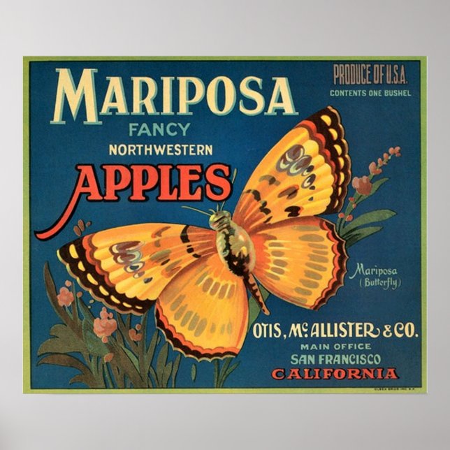 Mariposa Apples Låda-etikett Poster (Framsidan)