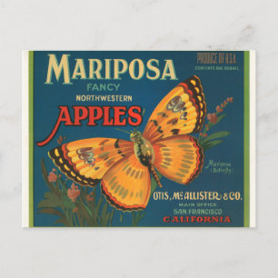 Mariposa Apples Vykort