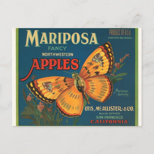Mariposa Apples Vykort (Framsida)