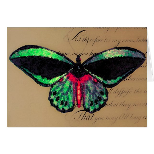 Mariposa ~ Card/inbjudningar OBS Kort (Framsidan Horizontal)