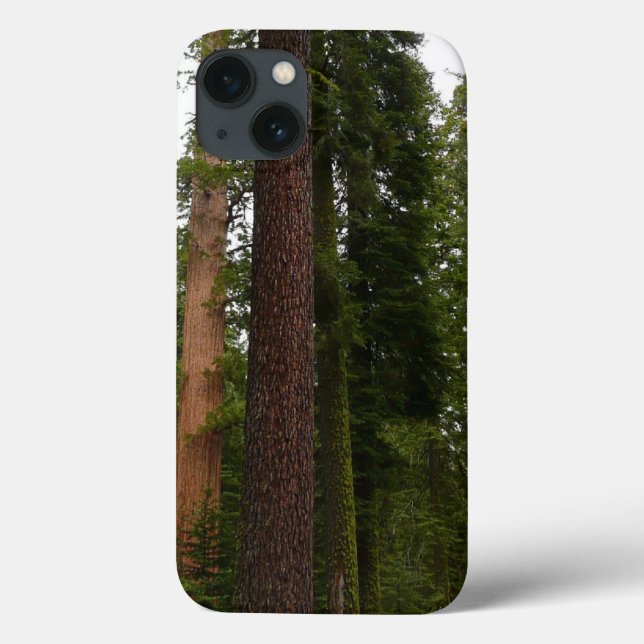 Mariposa Grove i nationalparken Yosemite (Baksida)