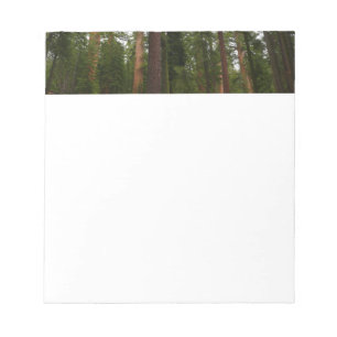 Mariposa Grove i Yosemite National Park Anteckningsblock